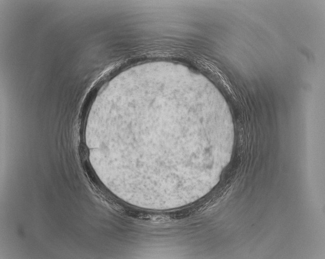 X0000115150395200912081351