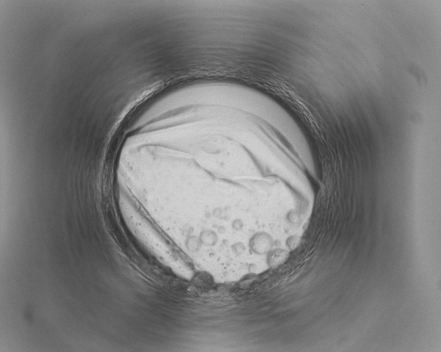 X0000115150396200912081351