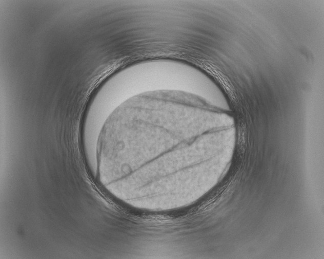 X0000115150397200912081351