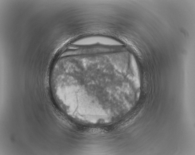 X0000115150399200912081351