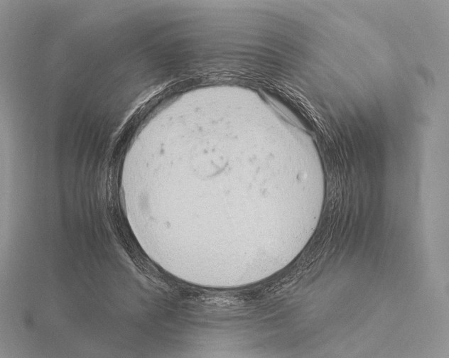 X0000115150400200912081351