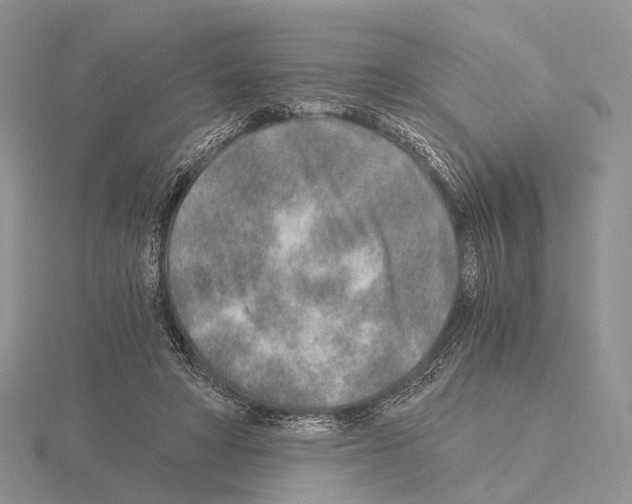 X0000115150402200912081351