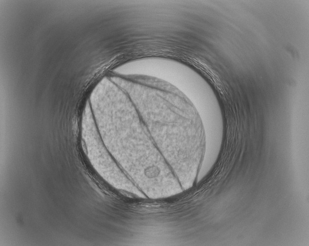 X0000115150405200912081351