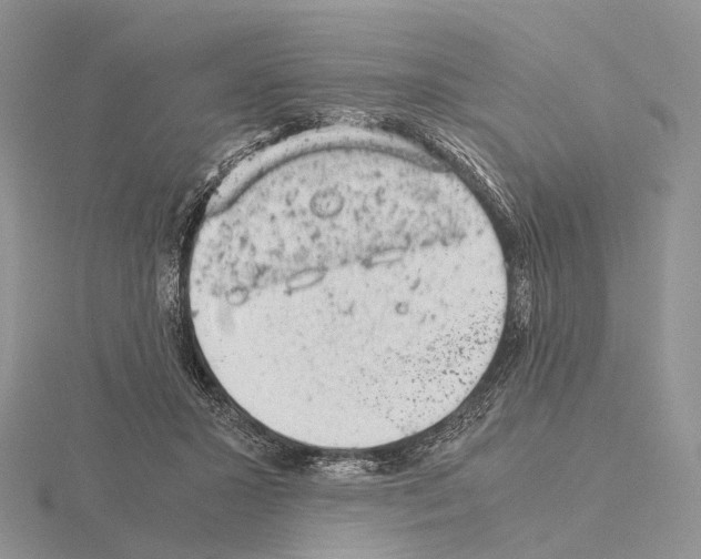 X0000115150407200912081351