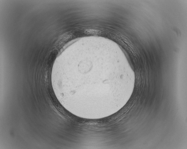 X0000115150408200912081351