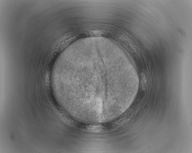 X0000115150410200912081351