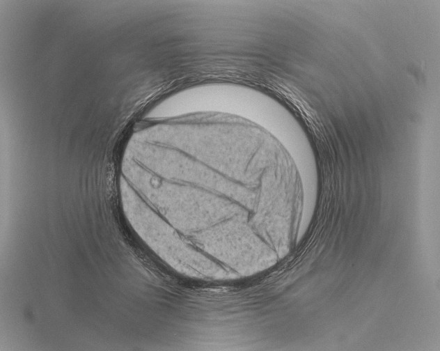 X0000115150411200912081351