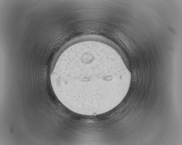 X0000115150412200912081351