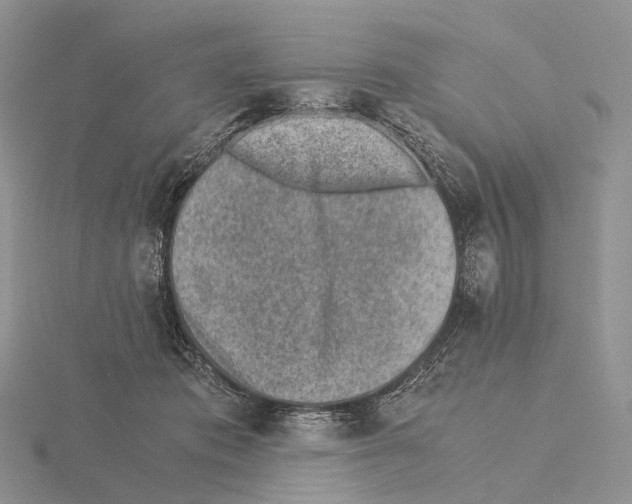 X0000115150413200912081351