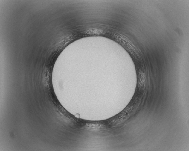 X0000115150414200912081351