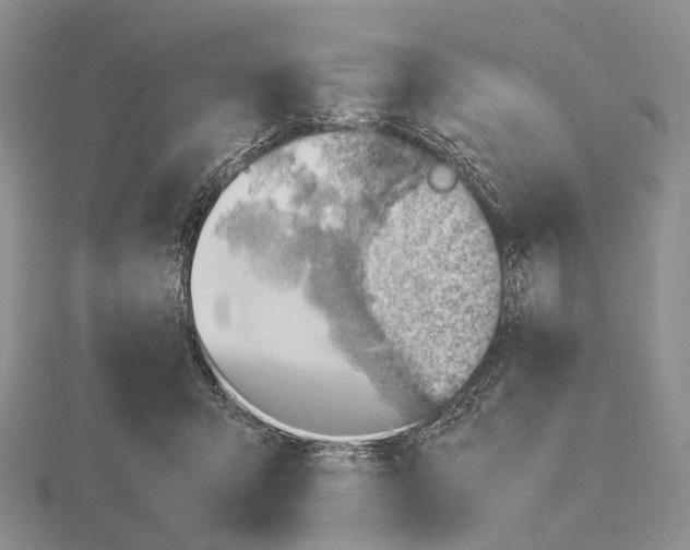 X0000115150415200912081351