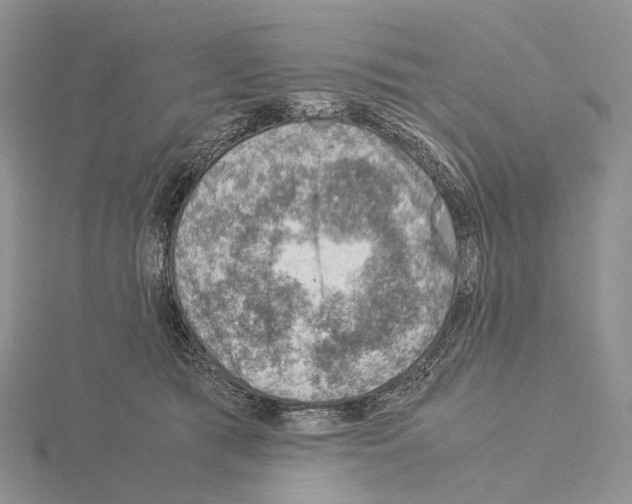 X0000115150417200912081351