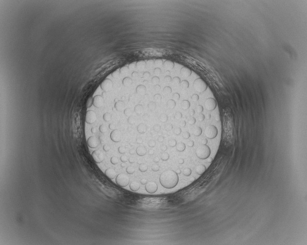 X0000115150418200912081351