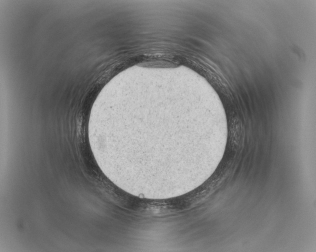 X0000115150420200912081351