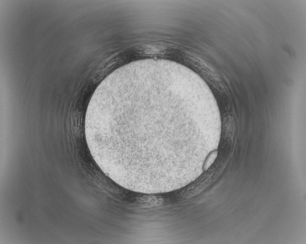 X0000115150421200912081351