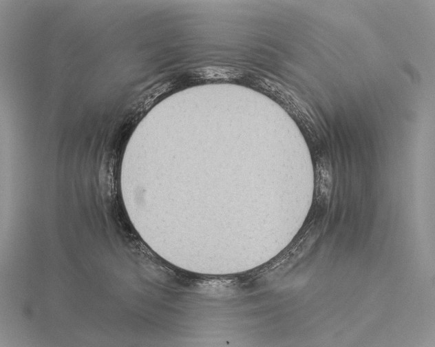 X0000115150422200912081351