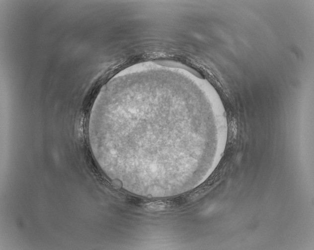 X0000115150423200912081351