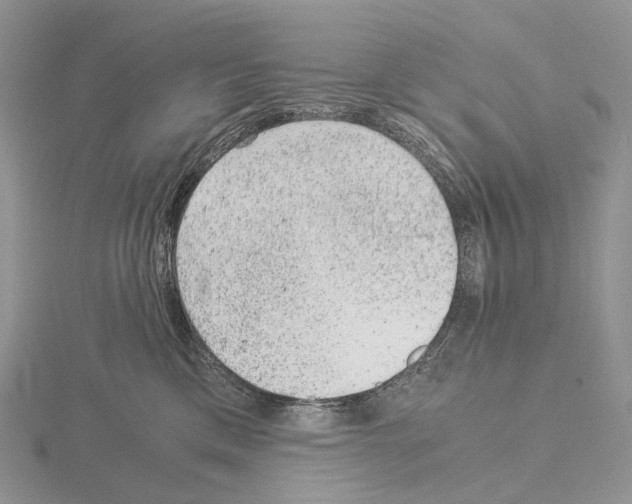 X0000115150425200912081351