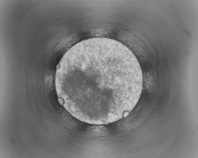 X0000115150427200912081351