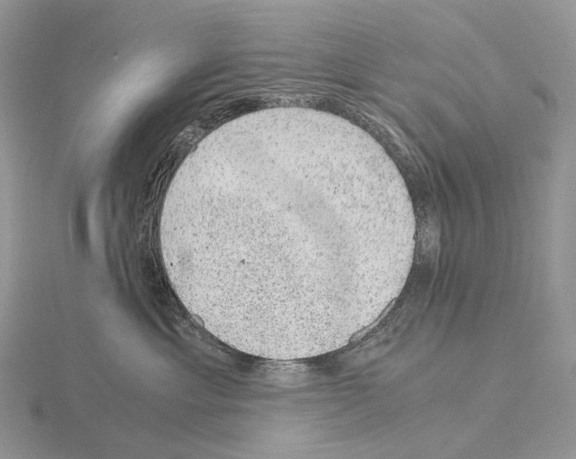 X0000115150429200912081351