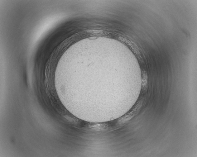 X0000115150430200912081351