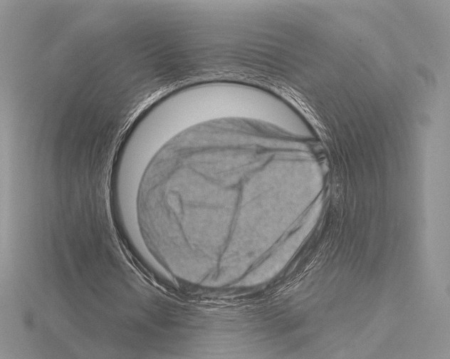 X0000115150434200912081350