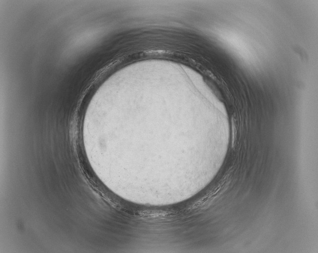 X0000115150435200912081350