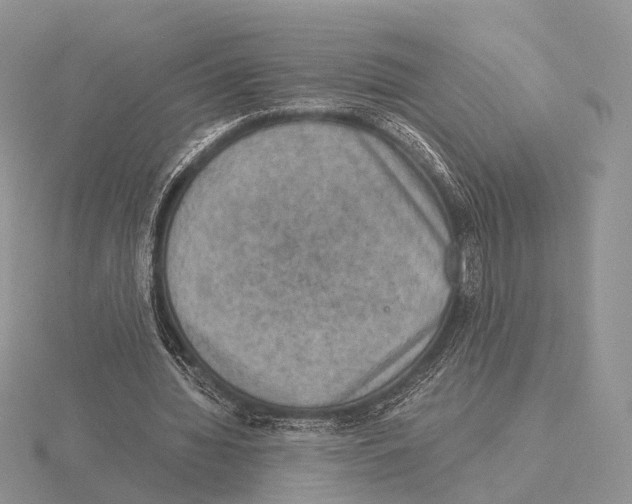 X0000115150436200912081350