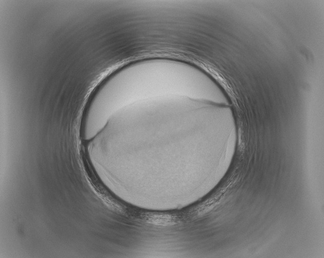 X0000115150438200912081350