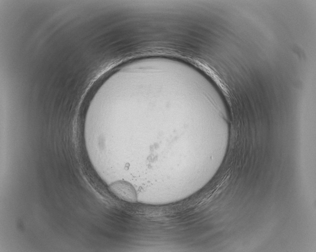 X0000115150439200912081350