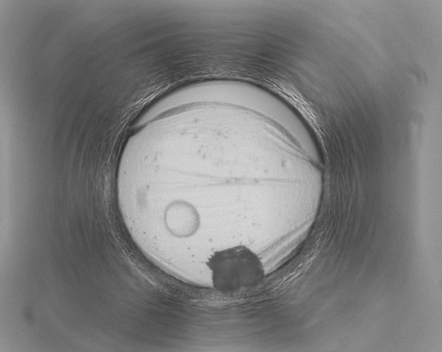 X0000115150441200912081350