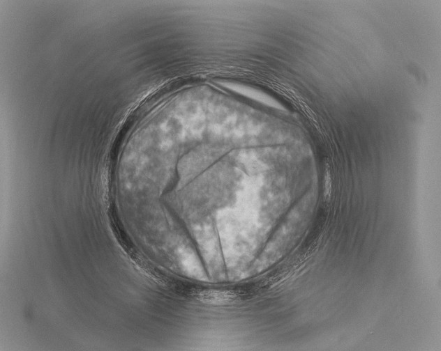 X0000115150444200912081350