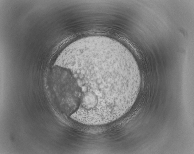 X0000115150445200912081350