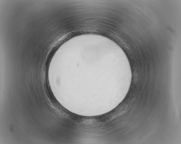 X0000115150446200912081350