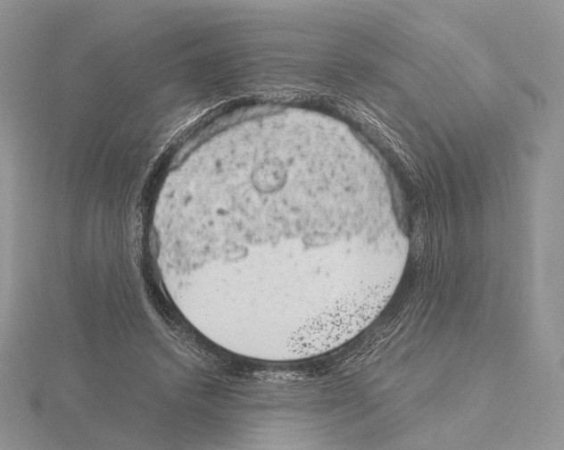 X0000115150448200912081350