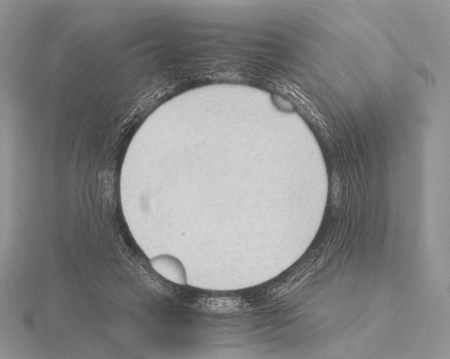 X0000115150449200912081350