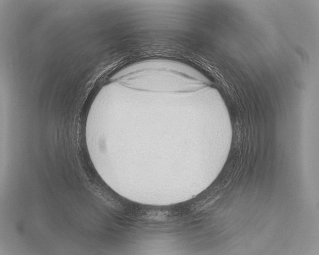 X0000115150450200912081350