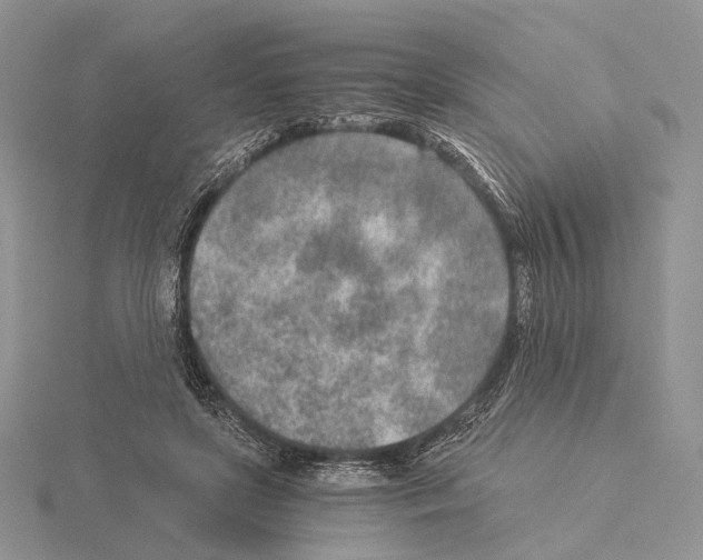 X0000115150451200912081350