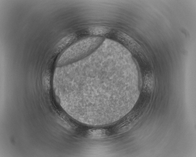 X0000115150452200912081350