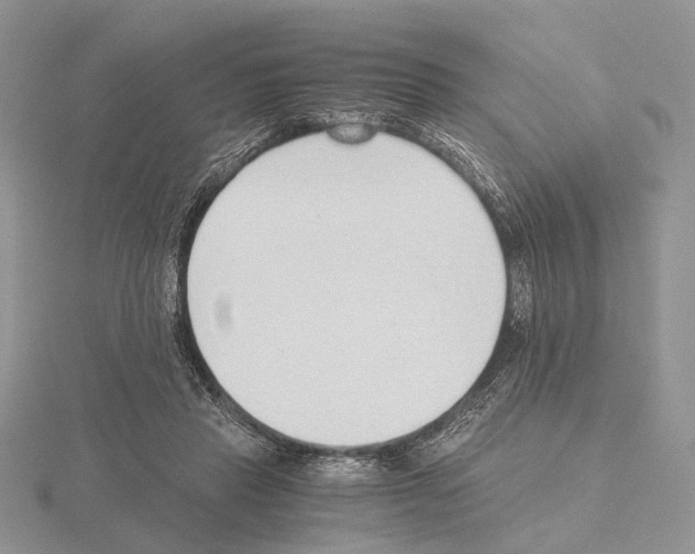 X0000115150453200912081350