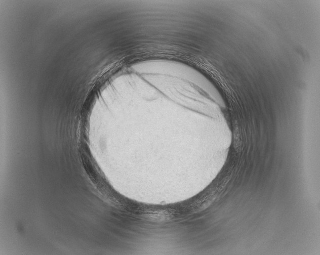 X0000115150454200912081350