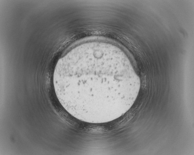 X0000115150456200912081350