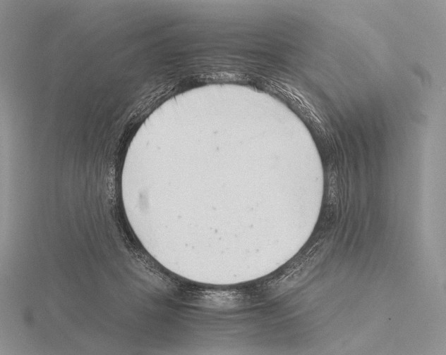 X0000115150457200912081350