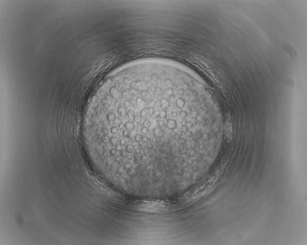 X0000115150458200912081350