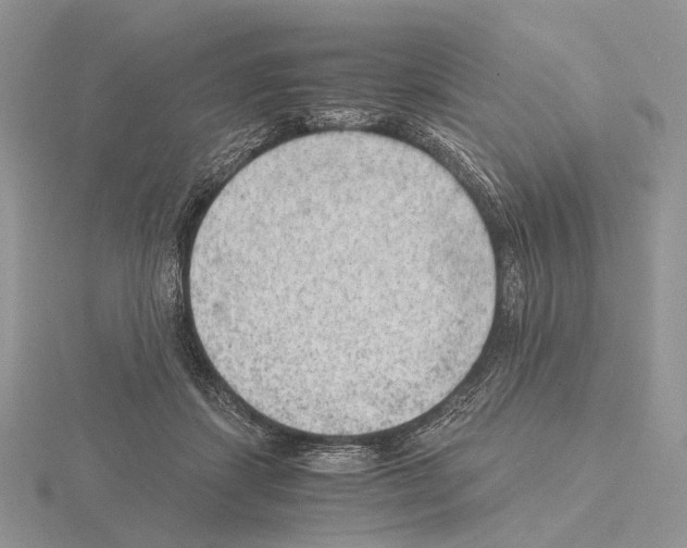 X0000115150459200912081350