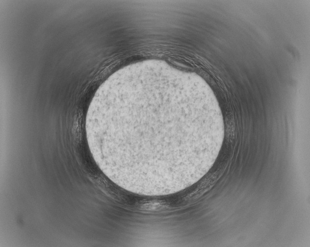 X0000115150460200912081350