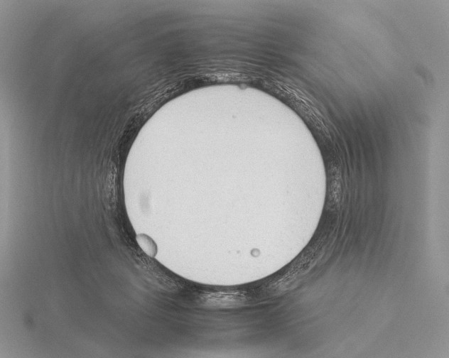 X0000115150461200912081350