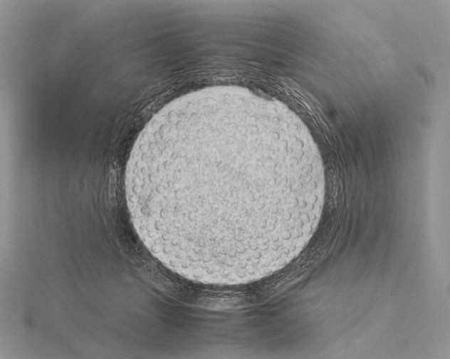 X0000115150463200912081350