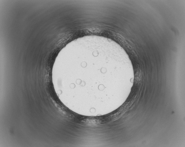 X0000115150464200912081350