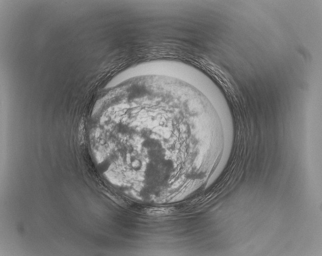 X0000115150465200912081350